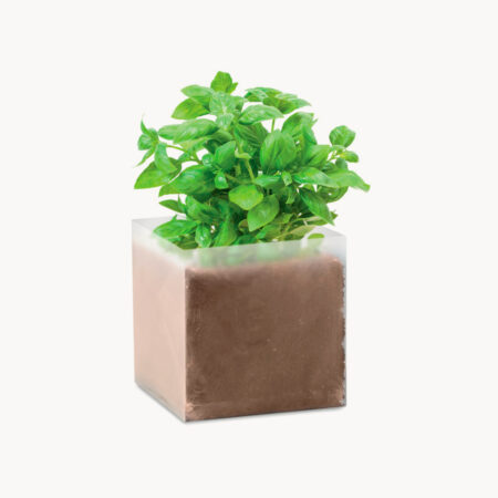 bolsita-semillas-hierbas-aromaticas-albahaca