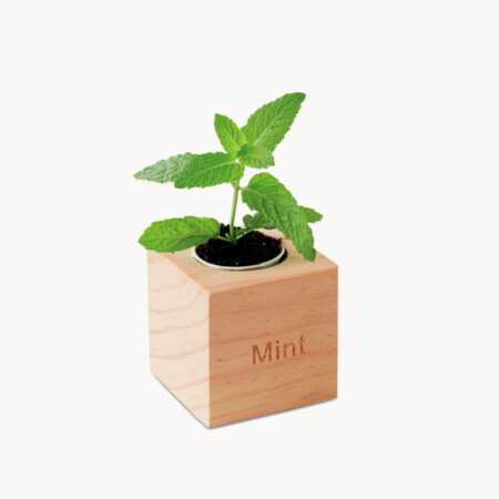 maceta-madera-semillas-menta