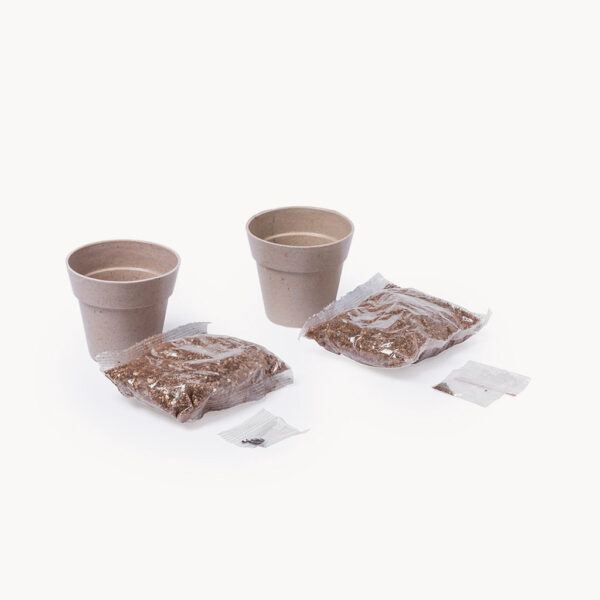 set-macetas-biodegradables-semillas-detalle