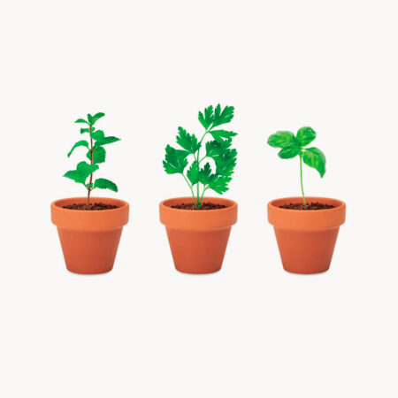 Set de macetas de terracota con semillas de hierbas aromáticas
